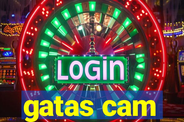 gatas cam
